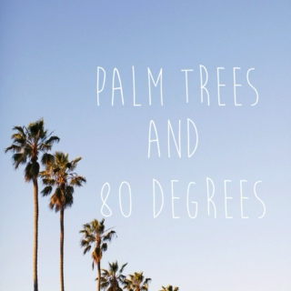 Palm Trees and 80 Degrees 