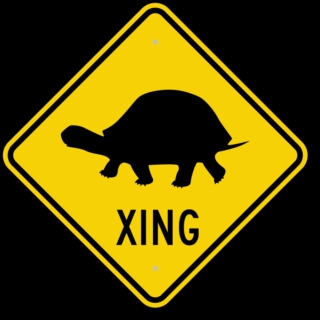 Turtle X-ing