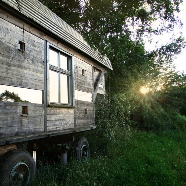 The Trailer in the Woods