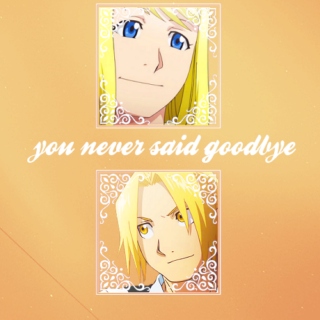 you never said goodbye
