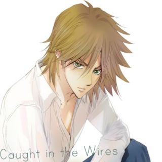 Caught in the Wires 