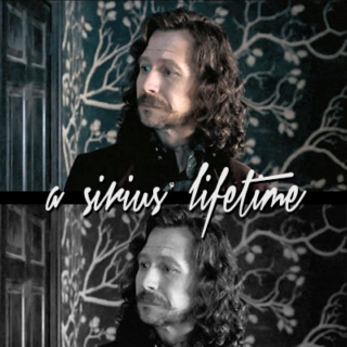 A Sirius Lifetime
