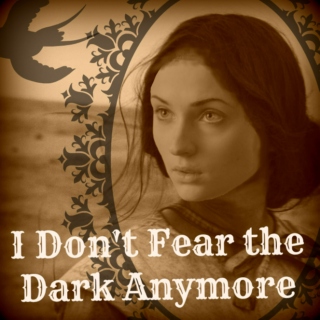 I Don't Fear the Dark Anymore