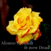 Alonso Munich Is Now Dead