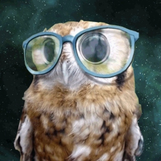 Hipster Owl: Birthday Jams