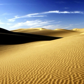 Summer in the Sahara
