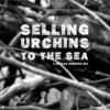 Selling Urchins to the Sea