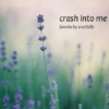 crash into me 