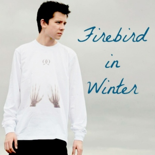 Firebird in Winter