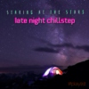 Staring at the Stars: late night chillstep