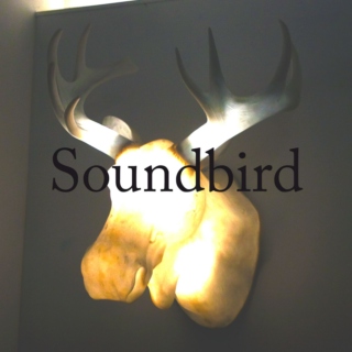 Soundbird's [GoingOut]