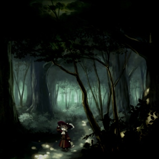 into the dark forest