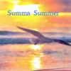 Summa Summer 2014
