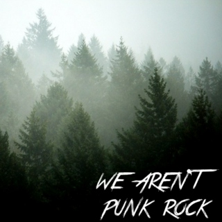 ☠we aren't punk rock☠