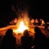 Bonfire Nights