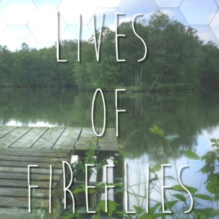 The Lives Of Fireflies - NaNoWriMo 2014