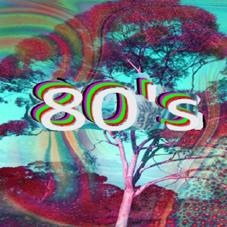 80's 