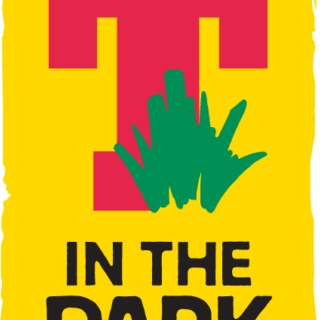 T in The Park 2014 (Saturday)