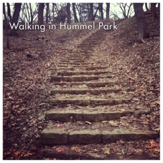 Walking in Hummel Park