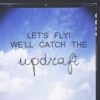 let's fly! we'll catch the updraft