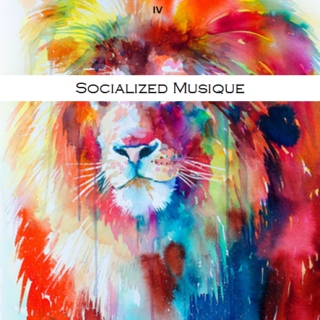 Socialized Musique