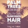 PALM TREES & OCEAN BREEZE