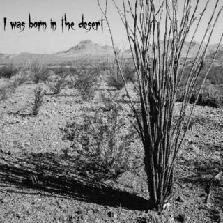 I was born in the desert