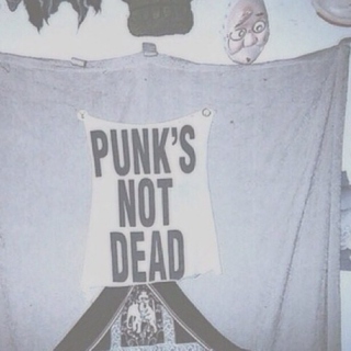 punks not f*****  dead 