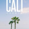 THE CALIFORNIA