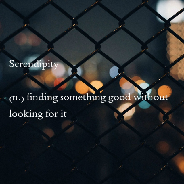 Serendipity.