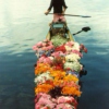 boat full of flowers