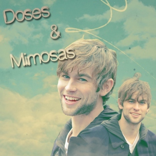 Doses & Mimosas