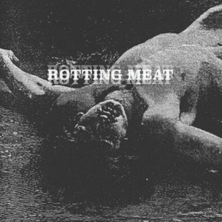 ROTTING MEAT