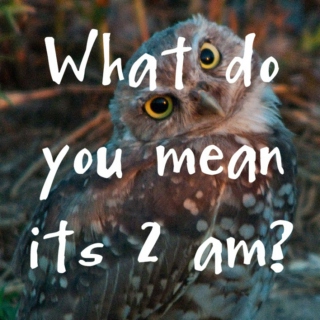 What do you mean its 2 am?