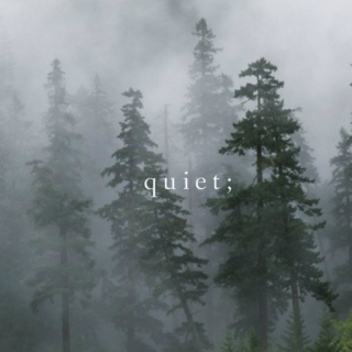 Quiet;