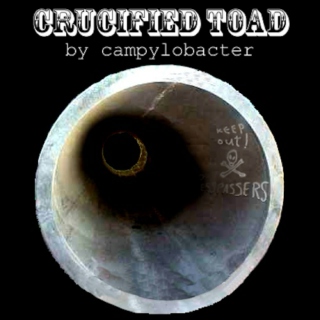 Crucified Toad