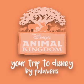 Your Trip to Disney! animal kingdom