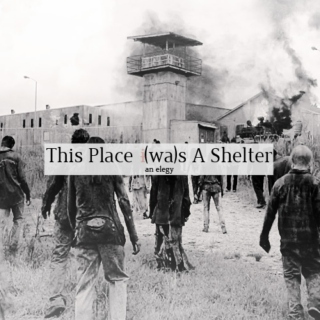 This Place (wa)s A Shelter