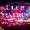 'The Walrus' Night Club 2