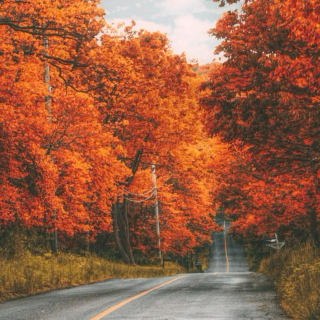 autumn and other cozy tunes