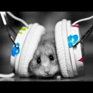 Hamster melodies
