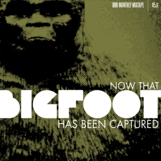 Now That Bigfoot Has Been Captured