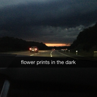 Flower Prints in the Dark