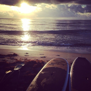 Surfing Sunshine