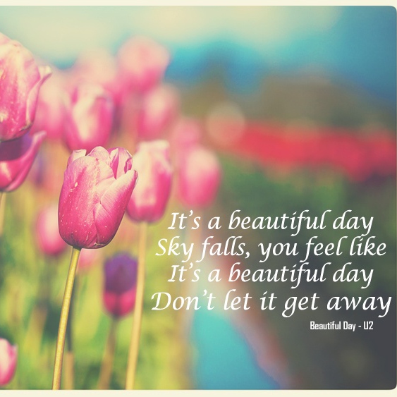 8tracks radio | Don't let the day get away (26 songs) | free and music ...