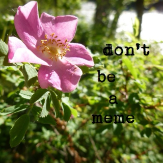 don't be a meme
