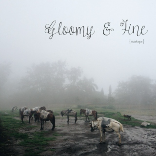Gloomy & Fine