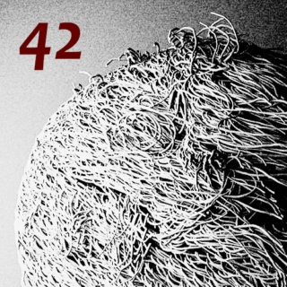 42 - Vol. 29