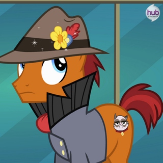 Stealth Brony (Your Friends Won't Know)