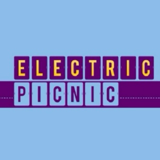 Electric Picnic 2014